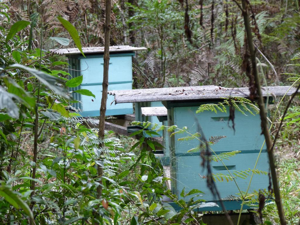 Chácara Aromas da Serra Campos do Jordão Exterior foto
